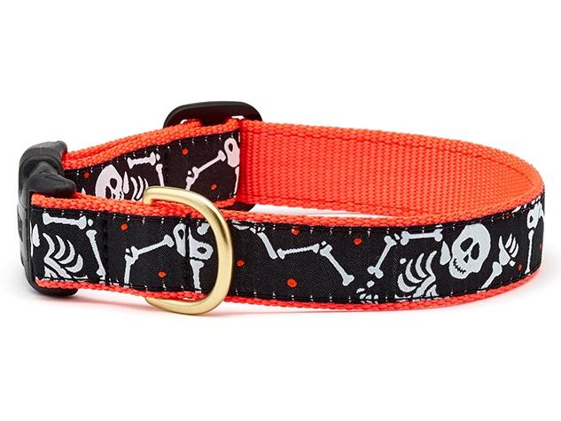 Buckle up hot sale collars